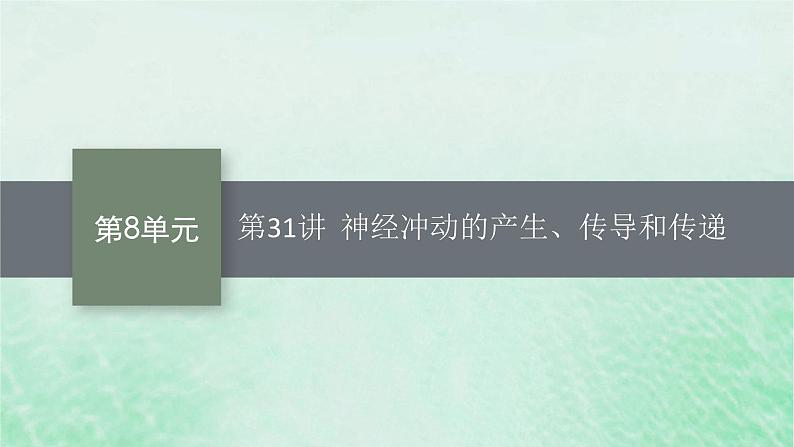 适用于新教材2024版高考生物一轮总复习第8单元稳态与调节第31讲神经冲动的产生传导和传递课件新人教版第1页