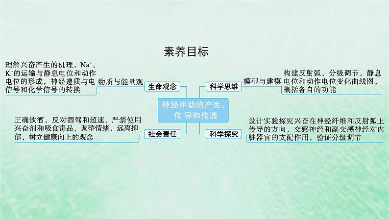 适用于新教材2024版高考生物一轮总复习第8单元稳态与调节第31讲神经冲动的产生传导和传递课件新人教版第2页