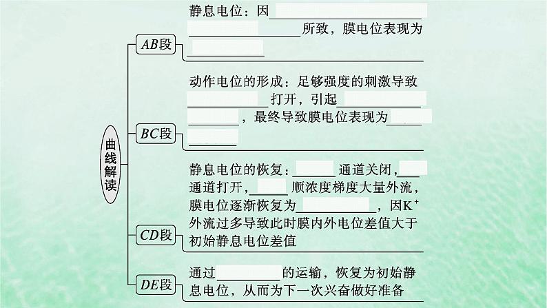 适用于新教材2024版高考生物一轮总复习第8单元稳态与调节第31讲神经冲动的产生传导和传递课件新人教版第6页