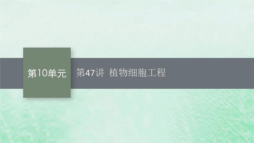 適用于新教材2024版高考生物一輪總復(fù)習(xí)第10單元生物技術(shù)與工程第47講植物細(xì)胞工程課件新人教版第1頁