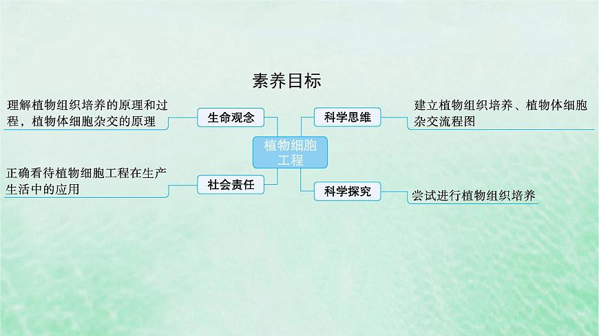 適用于新教材2024版高考生物一輪總復(fù)習(xí)第10單元生物技術(shù)與工程第47講植物細(xì)胞工程課件新人教版第2頁