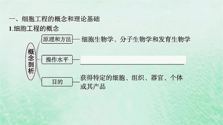 適用于新教材2024版高考生物一輪總復(fù)習(xí)第10單元生物技術(shù)與工程第47講植物細(xì)胞工程課件新人教版第5頁