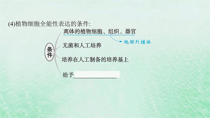 適用于新教材2024版高考生物一輪總復(fù)習(xí)第10單元生物技術(shù)與工程第47講植物細(xì)胞工程課件新人教版第7頁