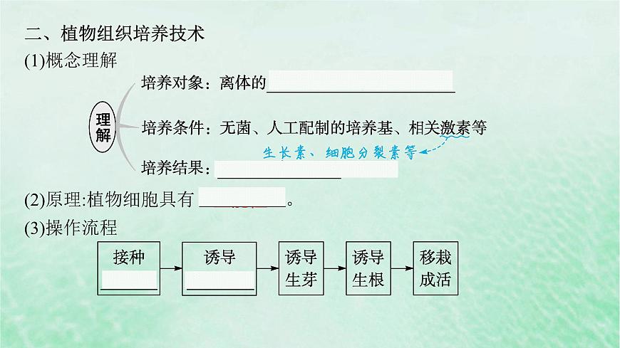 適用于新教材2024版高考生物一輪總復(fù)習(xí)第10單元生物技術(shù)與工程第47講植物細(xì)胞工程課件新人教版第8頁