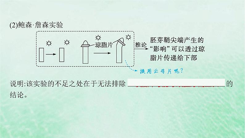 适用于新教材2024版高考生物一轮总复习第8单元稳态与调节第36讲植物生长素及其生理作用课件新人教版第6页