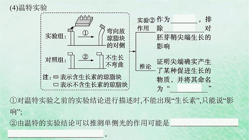 适用于新教材2024版高考生物一轮总复习第8单元稳态与调节第36讲植物生长素及其生理作用课件新人教版第8页