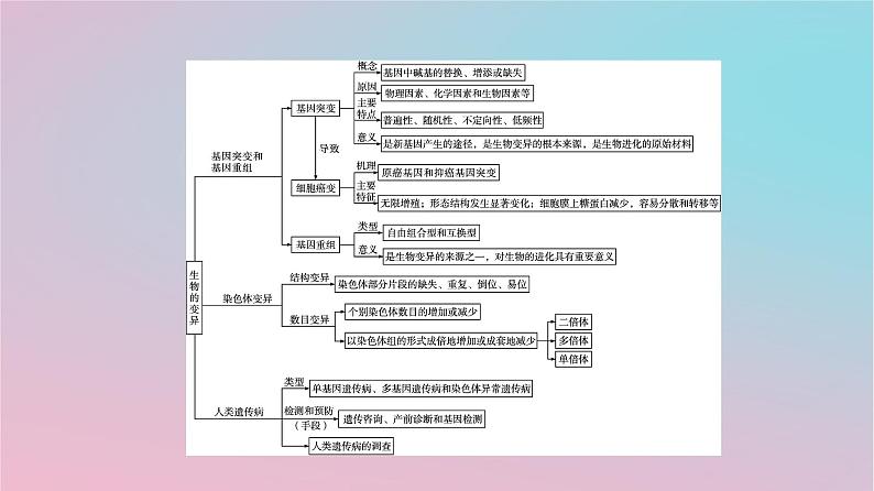 新教材2023年高中生物第5章基因突变及其他变异章末核心素养整合课件新人教版必修202