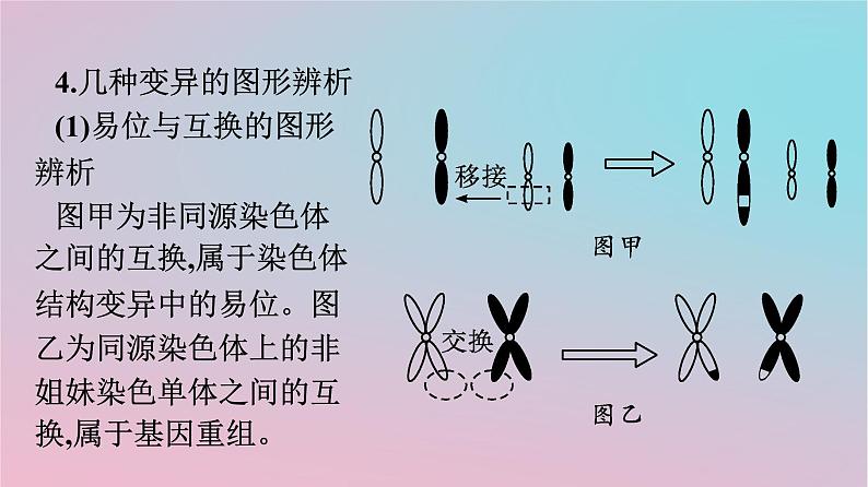 新教材2023年高中生物第5章基因突变及其他变异章末核心素养整合课件新人教版必修205