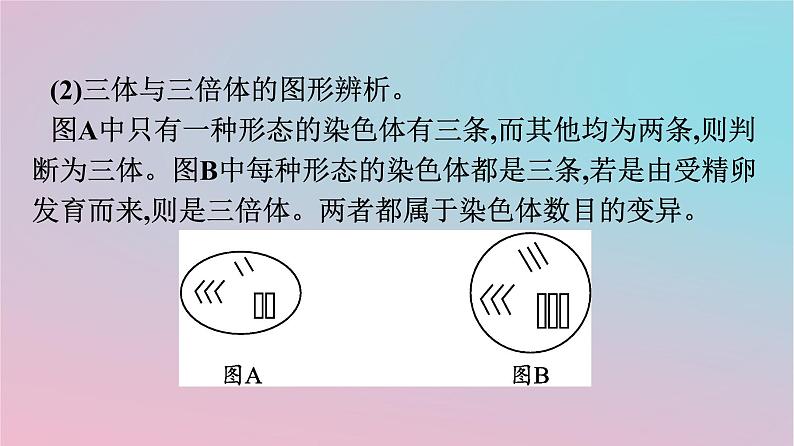 新教材2023年高中生物第5章基因突变及其他变异章末核心素养整合课件新人教版必修206