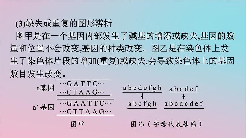新教材2023年高中生物第5章基因突变及其他变异章末核心素养整合课件新人教版必修207