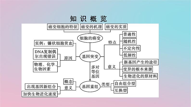 新教材2023年高中生物第5章基因突变及其他变异第1节基因突变和基因重组课件新人教版必修2第3页