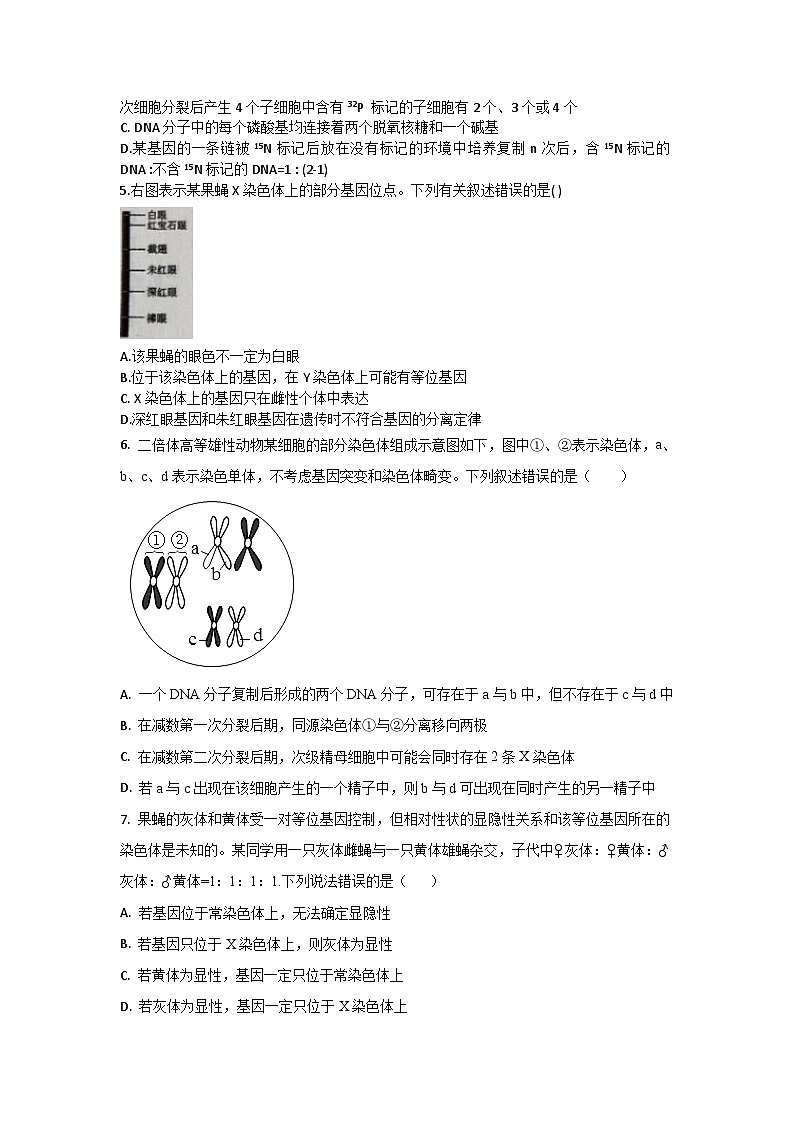 吉林省梅河口市第五中学2022-2023学年高一下学期期末考试生物试题第2页
