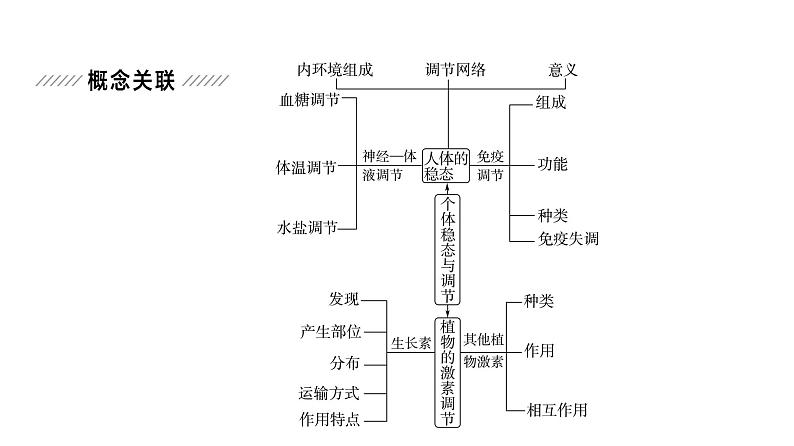 2024届苏教版高考生物一轮复习大概念升华课5生命个体的结构与功能相适应,各结构协调统一共同完成复杂的生命活动,并通过一定的调节机制保持稳态课件02