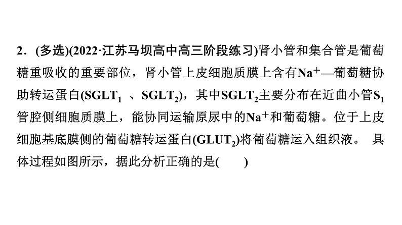 2024届苏教版高考生物一轮复习大概念升华课5生命个体的结构与功能相适应,各结构协调统一共同完成复杂的生命活动,并通过一定的调节机制保持稳态课件07
