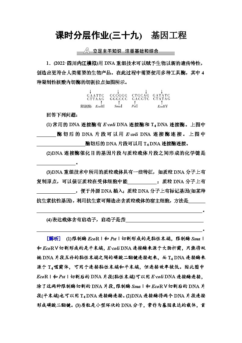 2024届人教版高考生物一轮复习基因工程作业(单项版)含答案第1页