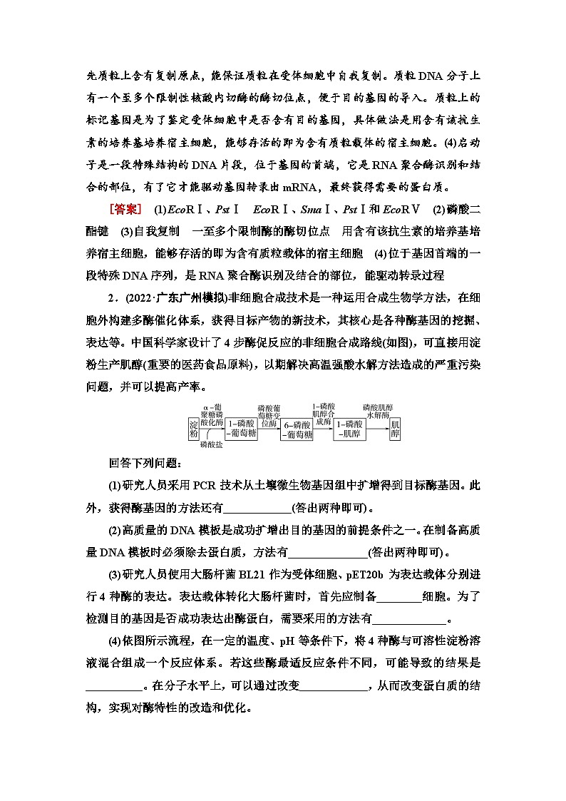 2024届人教版高考生物一轮复习基因工程作业(单项版)含答案第2页