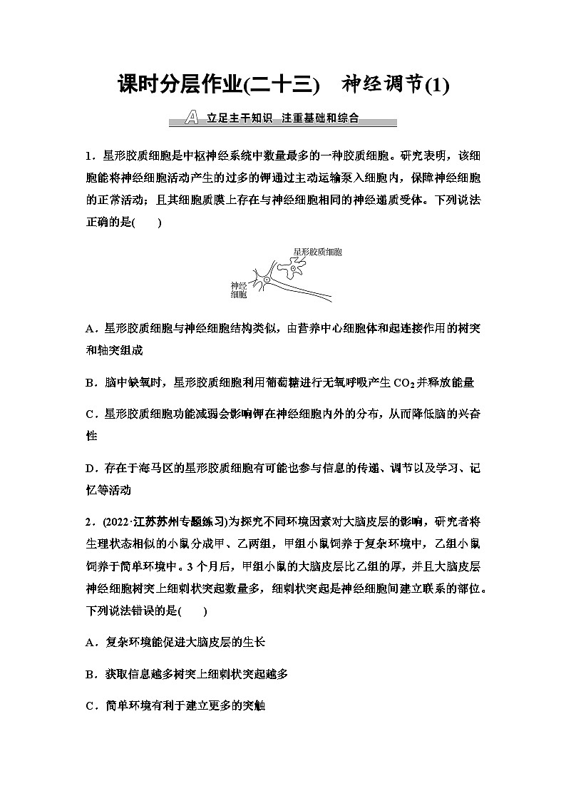 2024届苏教版高考生物一轮复习神经调节(1)作业含答案第1页