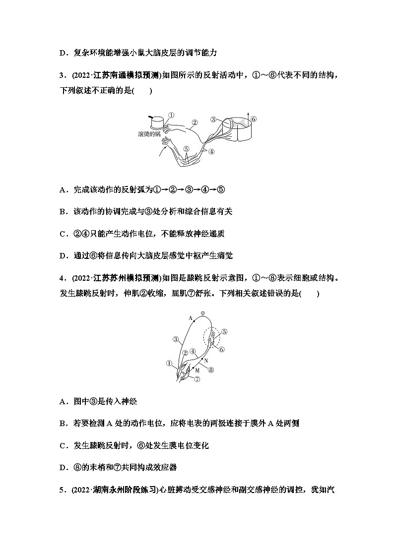 2024届苏教版高考生物一轮复习神经调节(1)作业含答案第2页