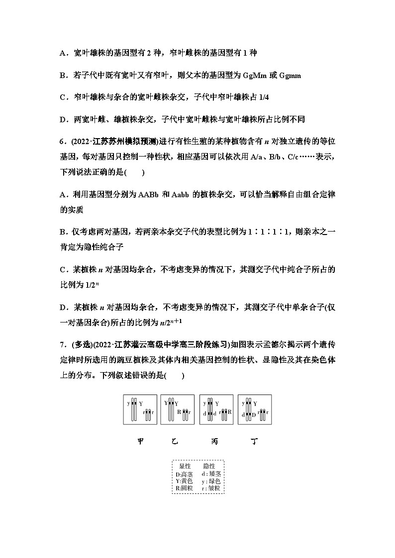 2024届苏教版高考生物一轮复习自由组合定律作业含答案第3页