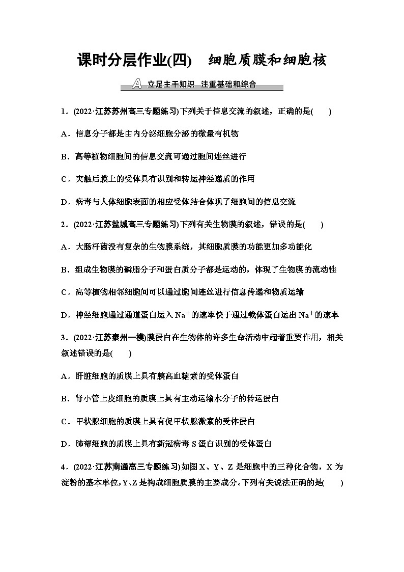 2024届苏教版高考生物一轮复习细胞质膜和细胞核作业含答案第1页