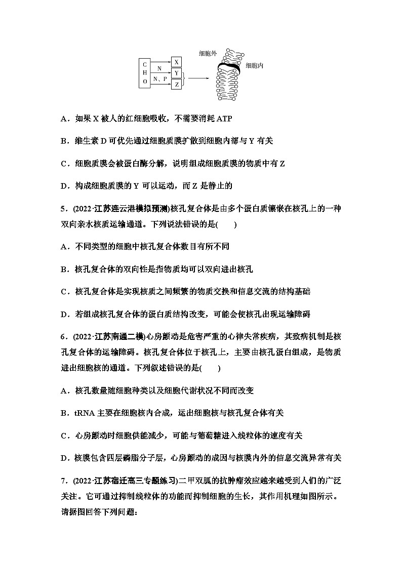 2024届苏教版高考生物一轮复习细胞质膜和细胞核作业含答案第2页