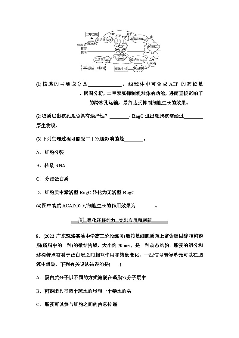 2024届苏教版高考生物一轮复习细胞质膜和细胞核作业含答案第3页
