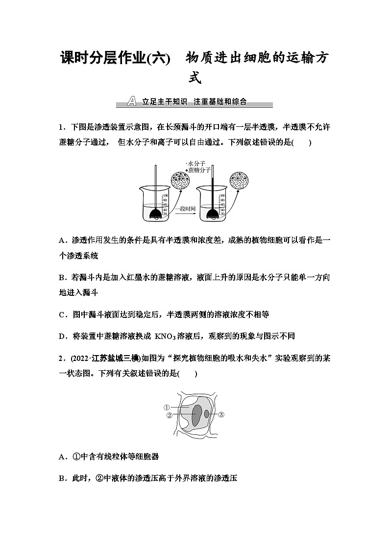 2024届苏教版高考生物一轮复习物质进出细胞的运输方式作业含答案第1页