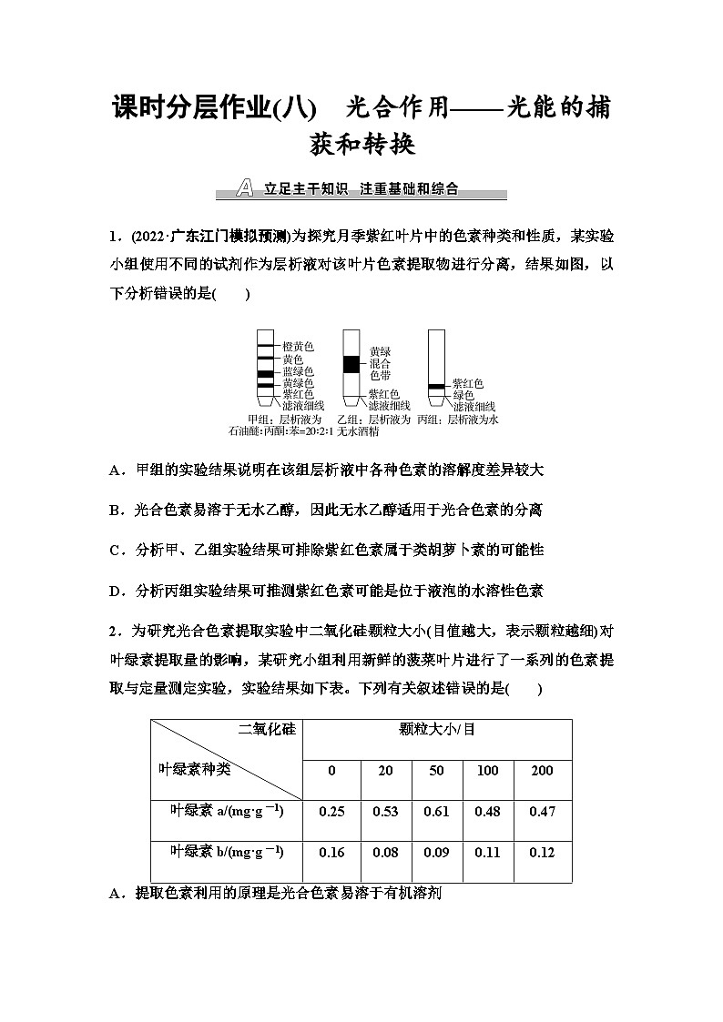 2024届苏教版高考生物一轮复习光合作用——光能的捕获和转换作业含答案第1页