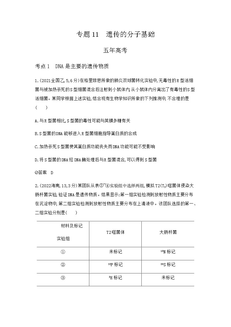 2024届高考生物一轮复习人教版遗传的分子基础作业含答案01