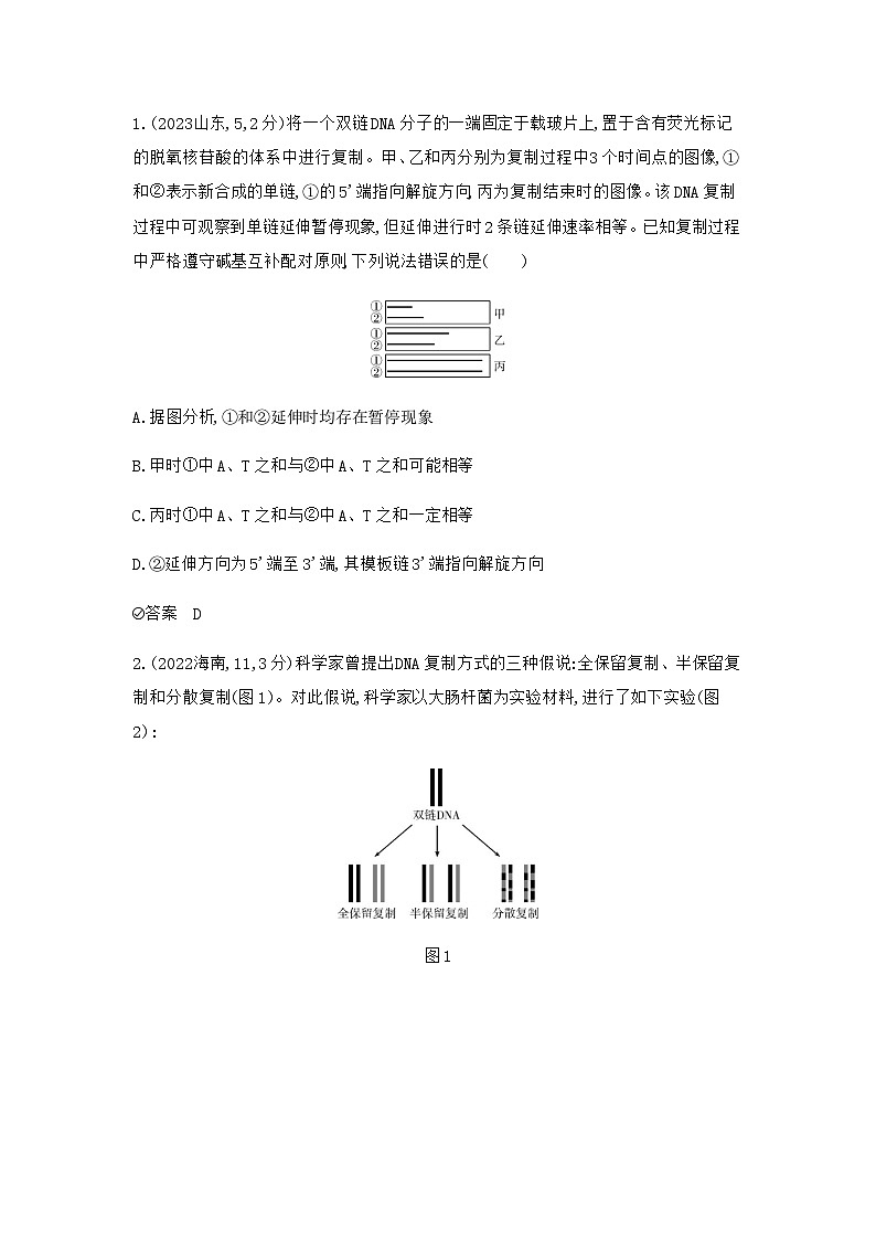 2024届高考生物一轮复习人教版遗传的分子基础作业含答案03