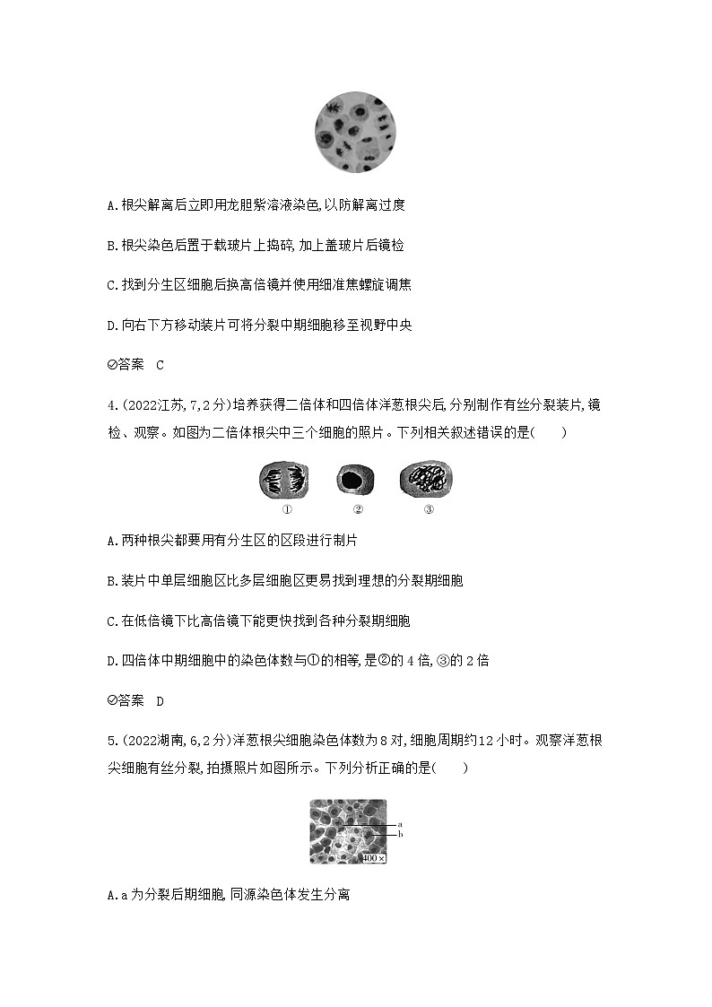 2024届人教版高考生物一轮复习细胞的生命历程作业含答案第2页