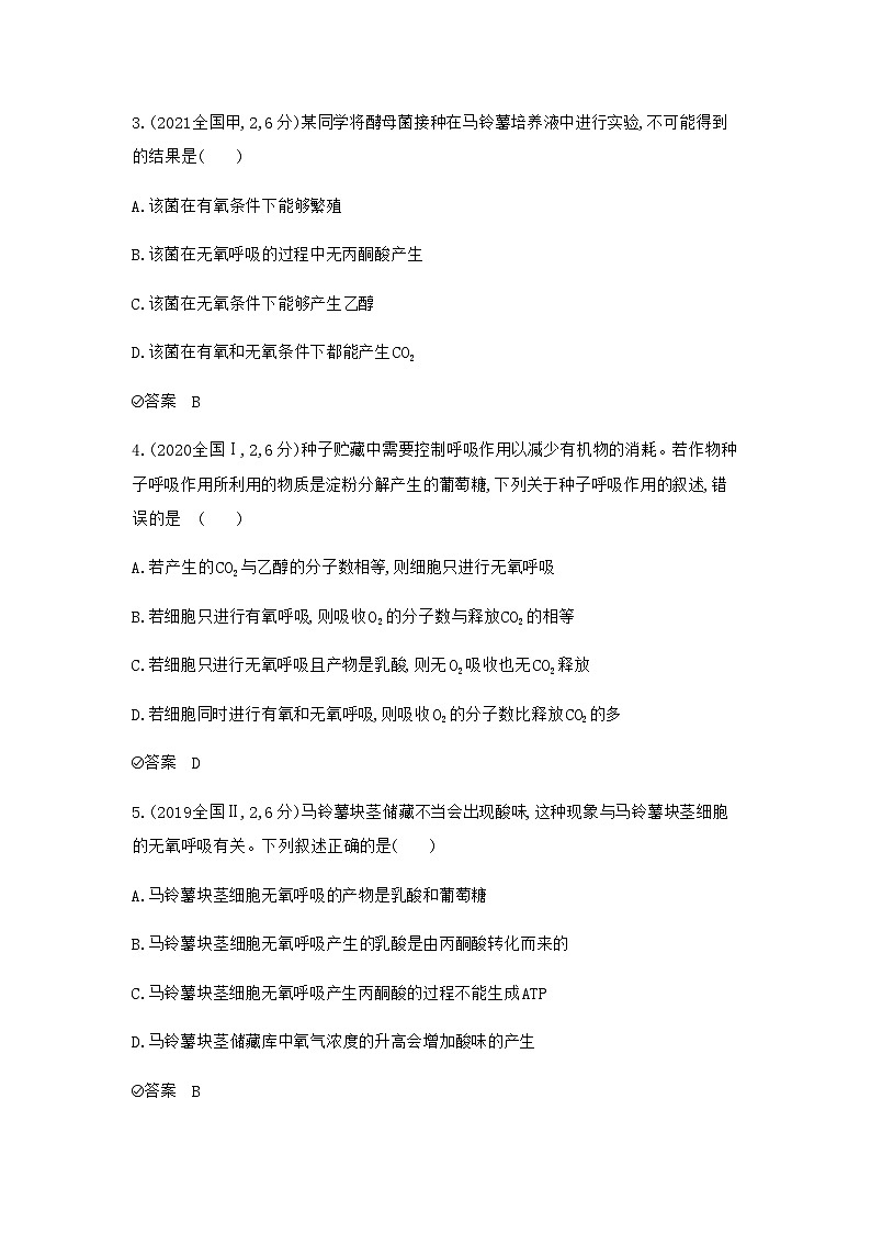 2024届人教版高考生物一轮复习细胞呼吸作业含答案第2页
