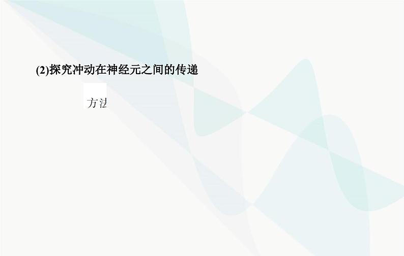 2024届人教版高考生物一轮复习素养提升课07反射狐中兴奋传导特点课件(单选版)第5页