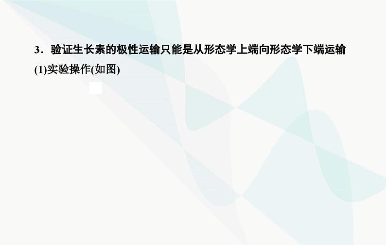 2024届人教版高考生物一轮复习素养提升课10与植物激素相关实验设计课件(单选版)第4页