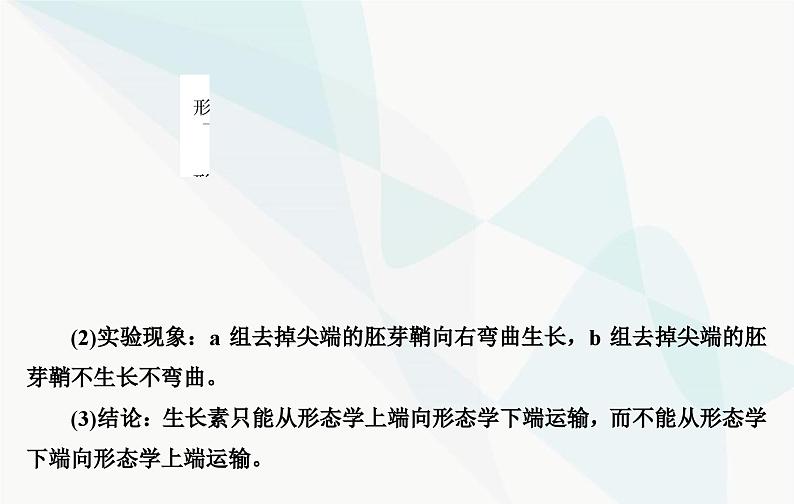 2024届人教版高考生物一轮复习素养提升课10与植物激素相关实验设计课件(单选版)第5页