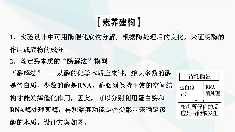 2024届人教版高考生物一轮复习素养加强课1对酶相关实验的基本思想和方法的迁移应用课件第3页