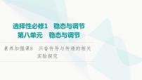 2024屆人教版高考生物一輪復(fù)習(xí)素養(yǎng)加強(qiáng)課8興奮傳導(dǎo)與傳遞的相關(guān)實(shí)驗(yàn)探究課件