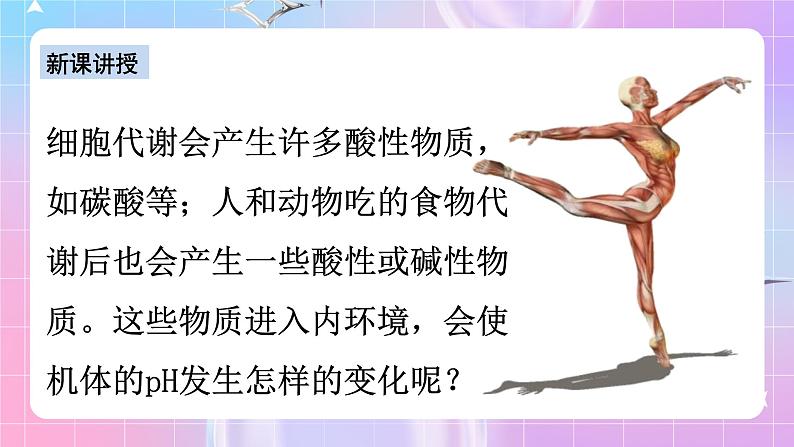 人教版高二生物选择性必修一1.2《内环境的稳态》课件第8页