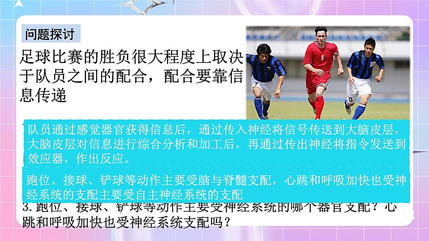 人教版高二生物選擇性必修一2.1《神經(jīng)調(diào)節(jié)的結(jié)構(gòu)基礎(chǔ)》課件第3頁(yè)