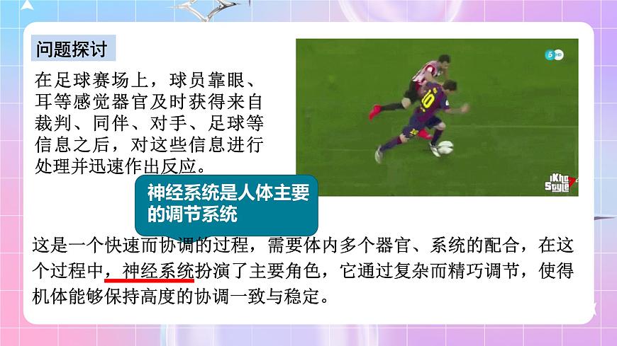 人教版高二生物選擇性必修一2.1《神經(jīng)調(diào)節(jié)的結(jié)構(gòu)基礎(chǔ)》課件第4頁(yè)