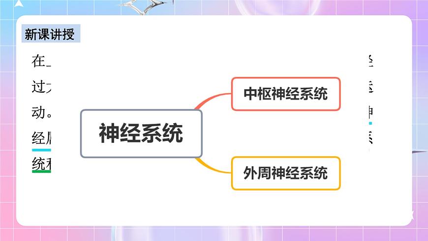 人教版高二生物選擇性必修一2.1《神經(jīng)調(diào)節(jié)的結(jié)構(gòu)基礎(chǔ)》課件第6頁(yè)