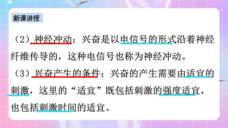 人教版高二生物选择性必修一2.3《神经冲动的产生和传导》课件+练习08