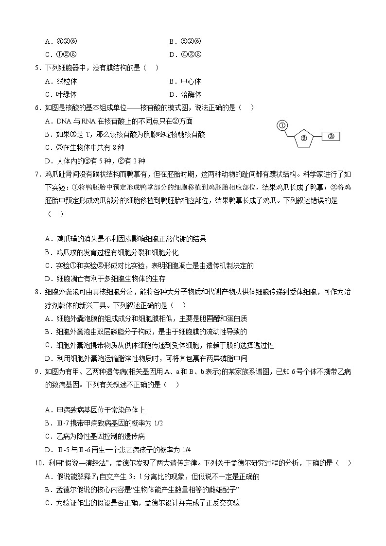 【新高三摸底】2024届新高三-生物开学摸底考试卷(全国通用,老教材)02