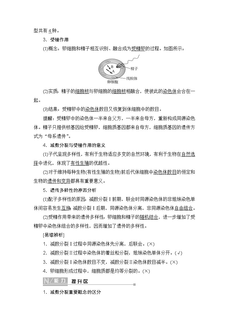 2024届人教版高中生物一轮复习减数分裂和受精作用学案(多项版)第3页