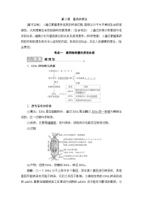 2024届人教版高中生物一轮复习基因的表达学案（多项版）