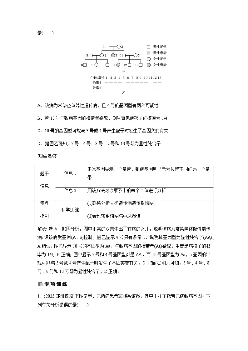 2024届人教版高中生物一轮复习素养提升遗传系谱图综合判断与概率计算学案(不定项)第3页