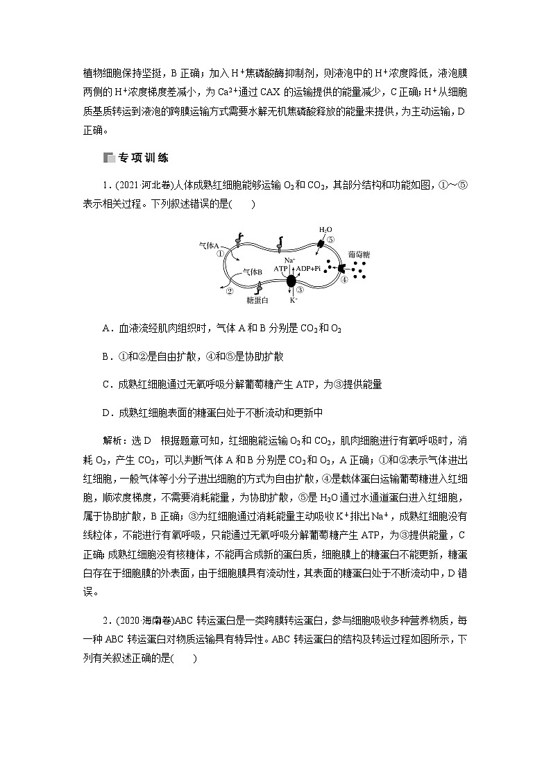 2024届人教版高中生物一轮复习素养提升新情境下糖类、脂质的迁移运用学案(不定项)第3页