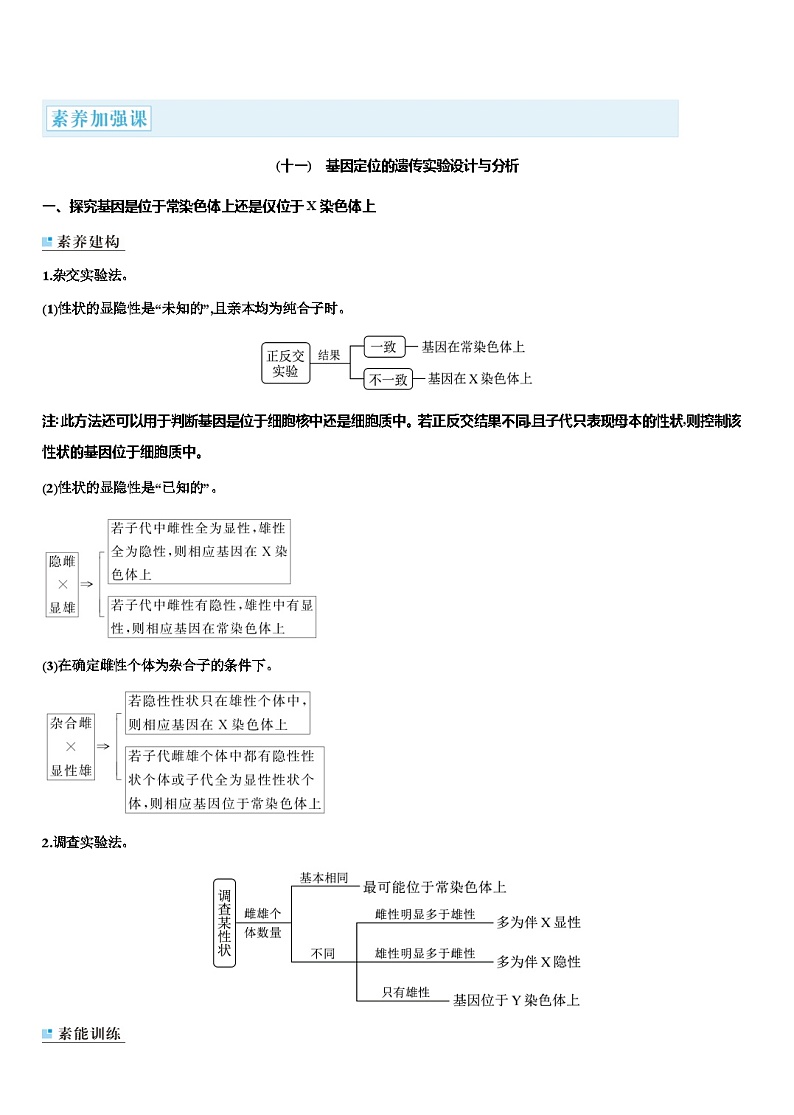 2024届人教版高中生物一轮复习素养课基因定位的遗传实验设计与分析学案(不定项)01