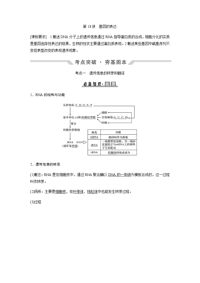2024届人教版高中生物一轮复习基因的表达 学案 (不定项)第1页