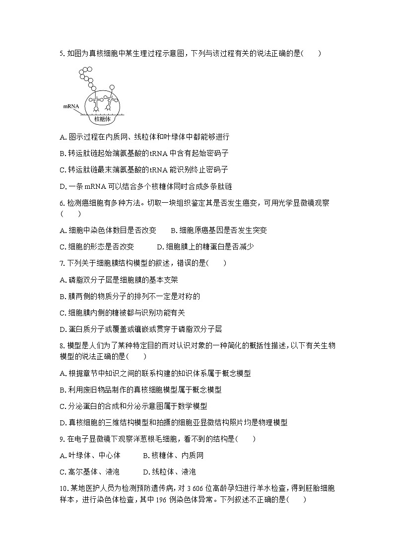 云南省石屏县第一中学2022—2023学年高一下学期期末考试生物试题(含答案)第2页